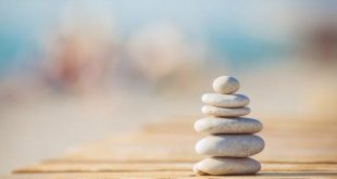 اثر ذهن آگاهی بر مغز