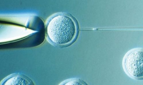 ملاحظات اخلاقی در ارتباط با کودکان دارای سه والد