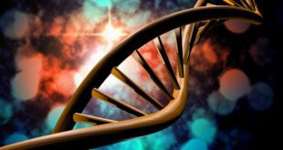 نشانه گذاری RNA