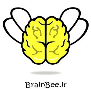لگوی مسابقه دانش مغز ایران