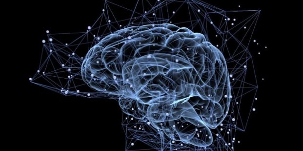 کانکتوم مغز