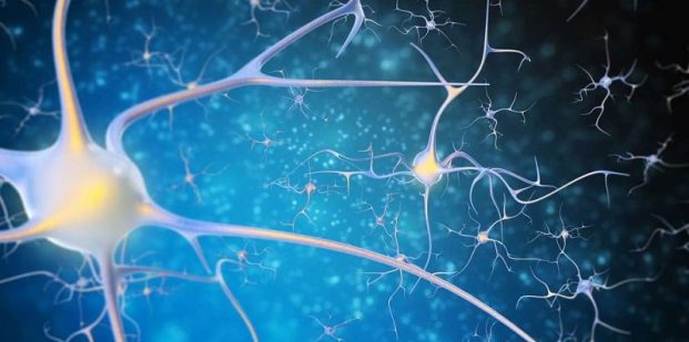 اتصالات عصبی