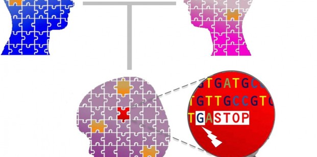 10269190_254758401376370_6792388532131990379_o