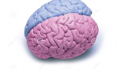 ۱۰۹۲۸۹۳۲_۳۳۶۰۵۵۰۹۳۲۴۶۷۰۰_۳۹۴۱۵۰۱۷۹۰۷۸۰۵۳۱۸۳۵_o