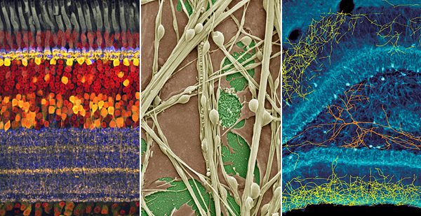 ۳۰portraitsspan-articleLarge