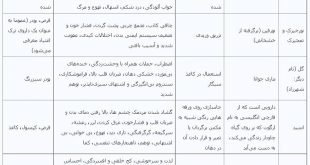 هولناک‌ ترین مخدر در ایران