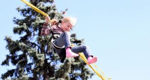 میزان تمایل به خطر کردن