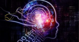 رابط های مغز_ماشین