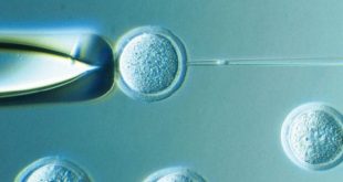 ملاحظات اخلاقی در ارتباط با کودکان دارای سه والد