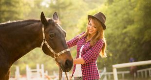 توانایی اسبها در به یادآوری حالات چهره ی قبلی افراد