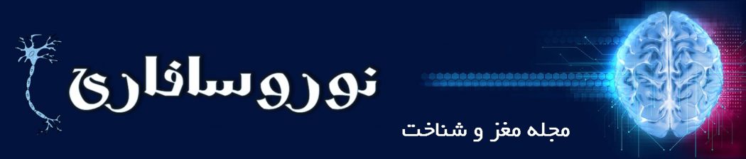 نوروسافاری | دانش مغز و علوم اعصاب